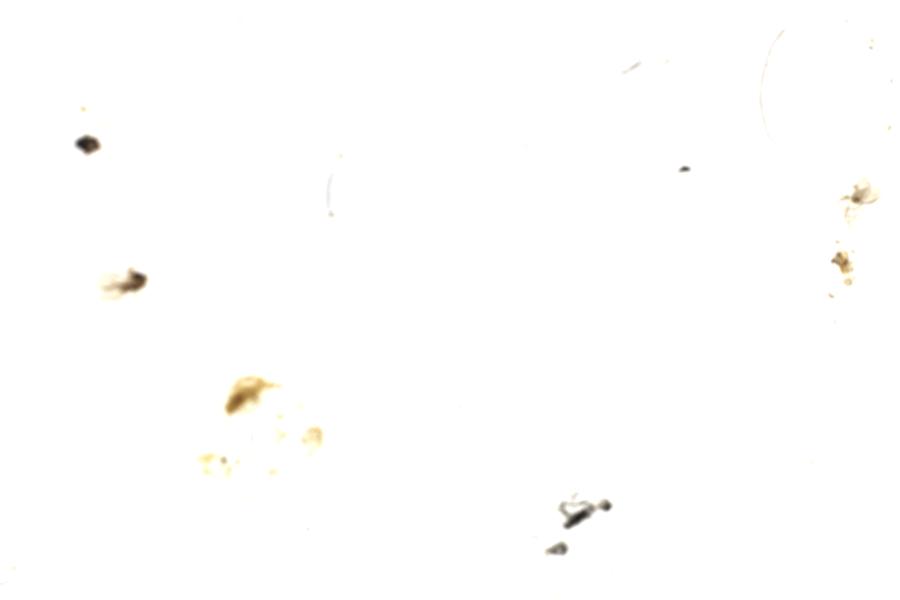 Image 61